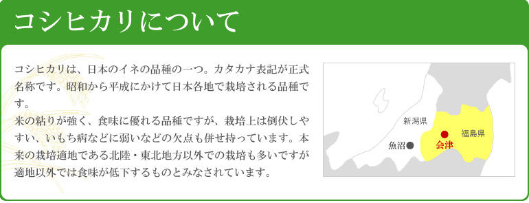 こしひかりについて