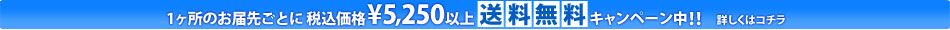 1ヶ所のお届先ごとに5,250円以上送料無料！