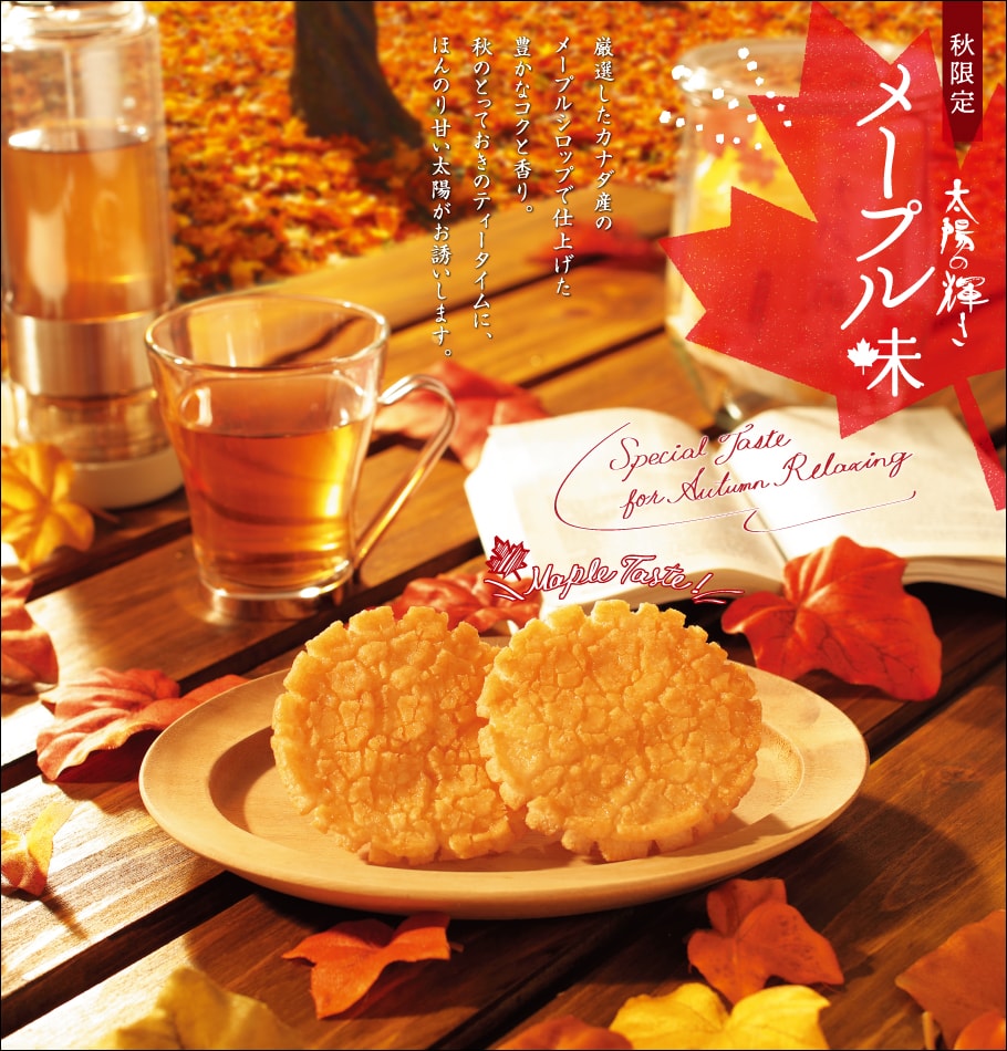 太陽の輝き 詰替パック メープル味