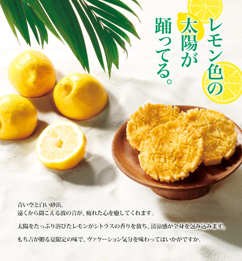 太陽の輝き 詰替パック レモン味