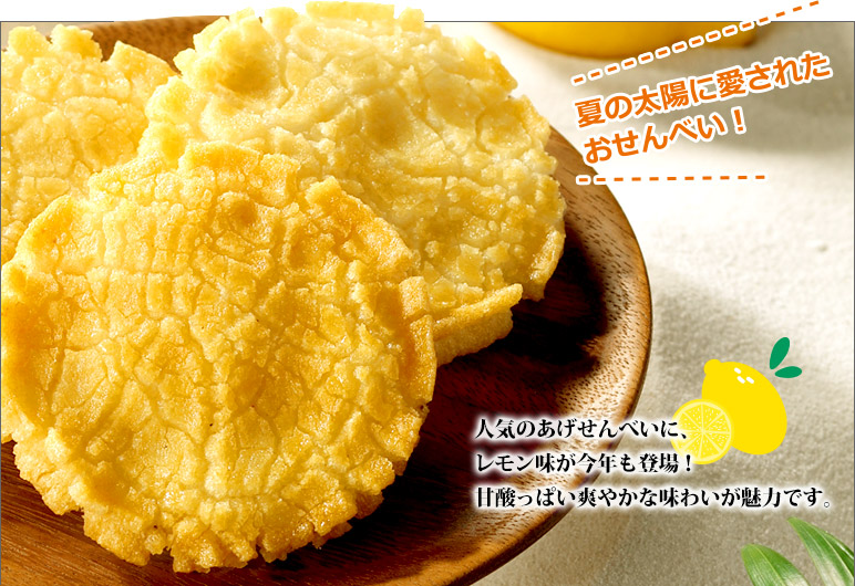 太陽の輝き 詰替パック レモン味