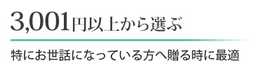 3,001円以上から選ぶ