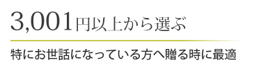 3,001円以上から選ぶ