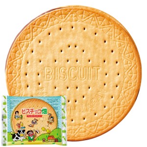 （※期日指定1月15日までお届け可）ビスチョコ畑_イメージ