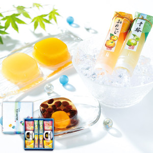 （※期日指定7月31日までお届け可）【夏季限定】涼菓撰（10個）_イメージ