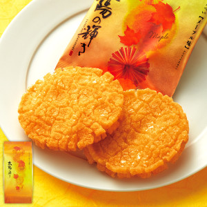 （※期日指定10月4日までお届け可）太陽の輝き 詰替パック メープル味（9枚）_イメージ