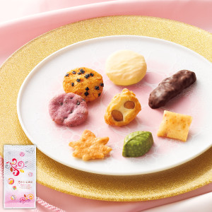 （※期日指定2月28日までお届け可）てのひら日記 あられdeショコラ 詰替パック_イメージ