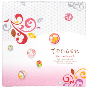 （※期日指定2月28日までお届け可）てのひら日記 あられdeショコラ 化粧箱_イメージ