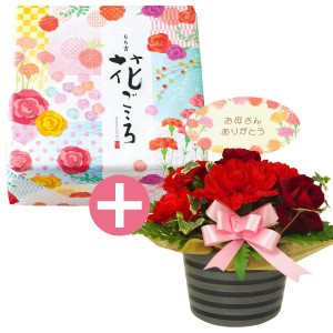 【他商品との同梱不可】【日時指定必須】【送料無料】【母の日】花ごころ 生花セット_イメージ